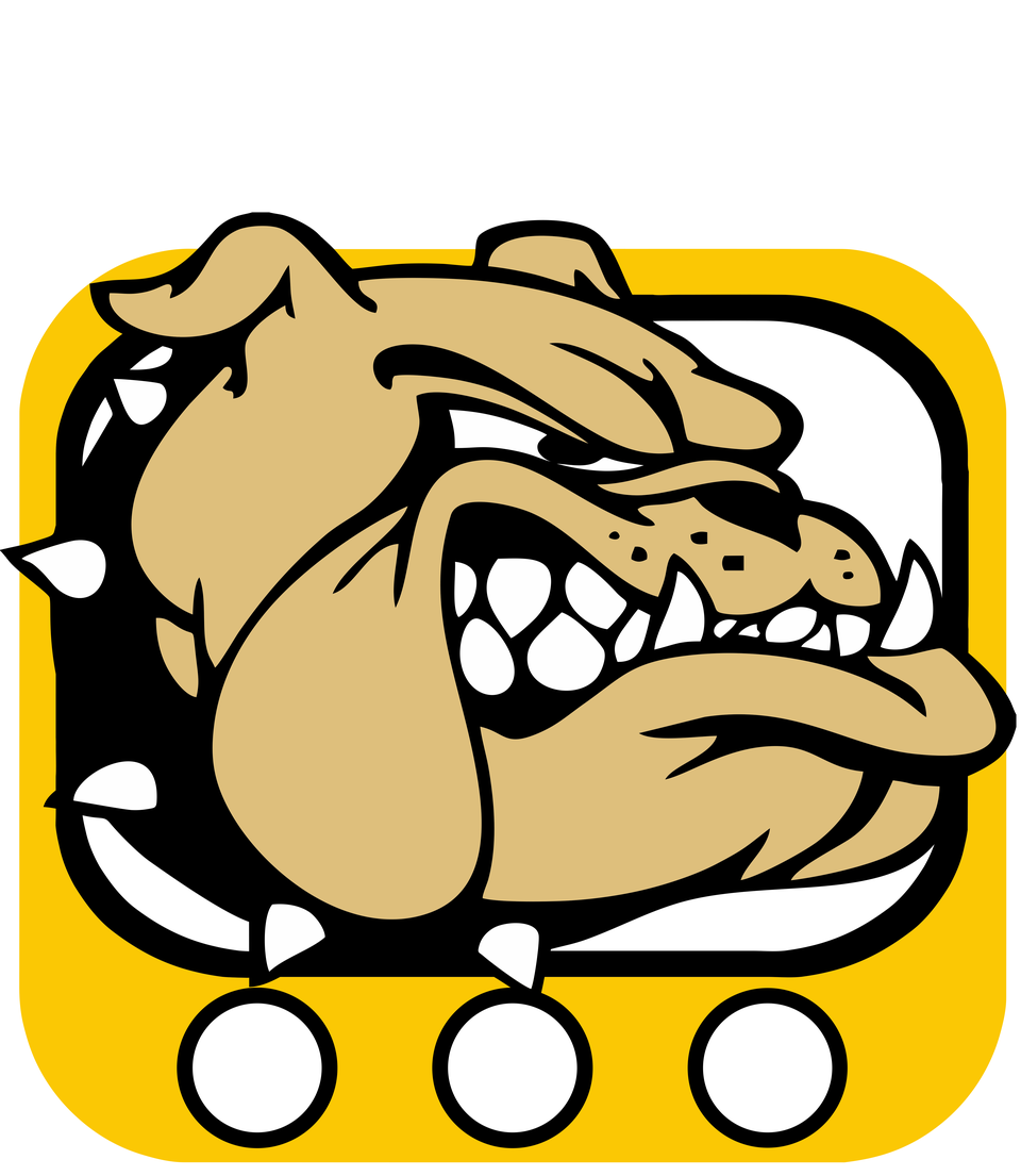 Bulldog Vision Studios logo